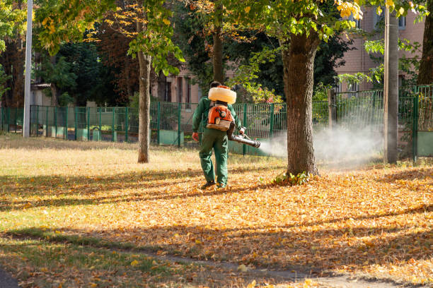 Pest Control for Restaurants in Decatur, MS